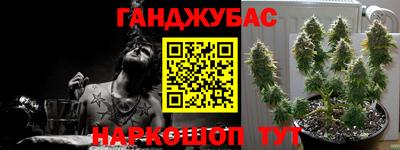 прущие грибы Дмитров