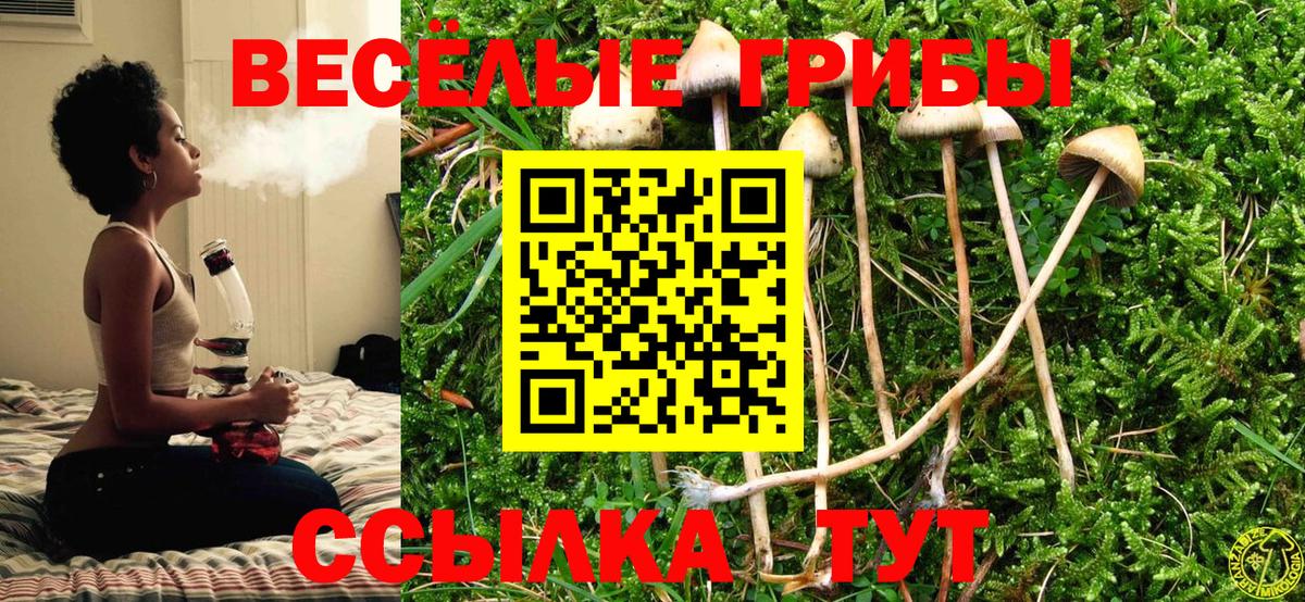 Галлюциногенные грибы Psilocybine cubensis  Вход с VPN  Муравленко 